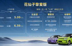 江淮钇为花仙子挚爱版正式上市，售价5.99万-6.59万元