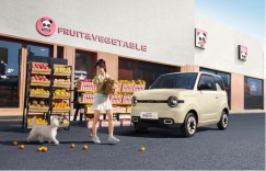 吉利银河2025款熊猫mini元气熊官图发布